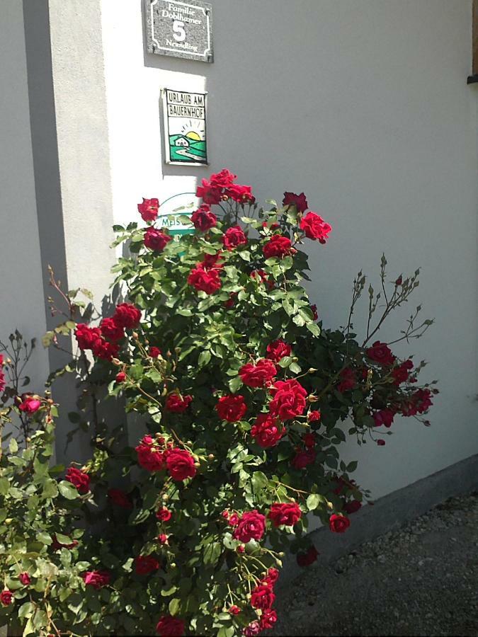 LambrechtenSchnatterhof别墅 外观 照片
